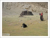 Ƽºª(Ƽº£Æ®, tibet) ¾Æ¸®(ä¹×ì, Ngari)