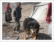Ƽºª(Ƽº£Æ®, tibet) ¾Æ¸®(ä¹×ì, Ngari)