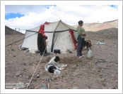Ƽºª(Ƽº£Æ®, tibet) ¾Æ¸®(ä¹×ì, Ngari)