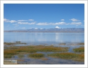 Ƽºª(Ƽº£Æ®, tibet) ¾Æ¸®(ä¹×ì, Ngari) ¼ºÈ£(á¡ûÉ, Manasarovar)