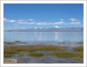 Ƽ(ƼƮ, tibet) Ƹ(, Ngari) ȣ(, Manasarovar)