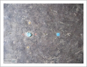 Ƽºª(Ƽº£Æ®, tibet) ¾Æ¸®(ä¹×ì, Ngari)