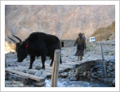 Ƽºª(Ƽº£Æ®, tibet) ¾Æ¸®(ä¹×ì, Ngari)
