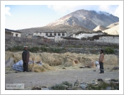 Ƽ(ƼƮ, tibet) Ƹ(, Ngari)