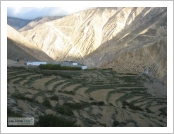 Ƽºª(Ƽº£Æ®, tibet) ¾Æ¸®(ä¹×ì, Ngari) Ǫ¶û(ÜÅÕµ, purang)
