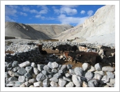 Ƽºª(Ƽº£Æ®, tibet) ¾Æ¸®(ä¹×ì, Ngari)