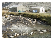 Ƽºª(Ƽº£Æ®, tibet) ¾Æ¸®(ä¹×ì, Ngari)