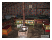 Ƽºª(Ƽº£Æ®, tibet) ¾Æ¸®(ä¹×ì, Ngari)
