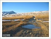 Ƽºª(Ƽº£Æ®, tibet) ¾Æ¸®(ä¹×ì, Ngari)