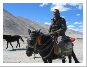 Ƽºª(Ƽº£Æ®, tibet) ¾Æ¸®(ä¹×ì, Ngari)