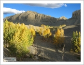 Ƽºª(Ƽº£Æ®, tibet) ¾Æ¸®(ä¹×ì, Ngari) ÀÚ´ÙÁö¿ª