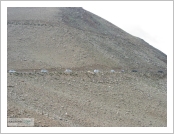 Àεµ ·¹(Leh)-¶ó´ÙÅ©(Ladakh)