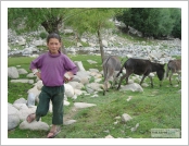 Àεµ ·¹(Leh)-¶ó´ÙÅ©(Ladakh)
