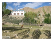 Àεµ ·¹(Leh)-¶ó´ÙÅ©(Ladakh)