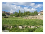 Àεµ ·¹(Leh)-¶ó´ÙÅ©(Ladakh)
