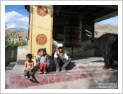 Àεµ ·¹(Leh)-¶ó´ÙÅ©(Ladakh)