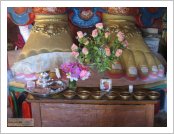 Àεµ ·¹(Leh)-¶ó´ÙÅ©(Ladakh)
