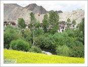 Àεµ ·¹(Leh)-¶ó´ÙÅ©(Ladakh)