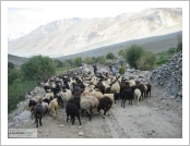 ε (Leh)-ũ(Ladakh)