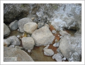 Àεµ ·¹(Leh)-¶ó´ÙÅ©(Ladakh)
