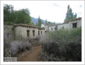 Àεµ ·¹(Leh)-¶ó´ÙÅ©(Ladakh)