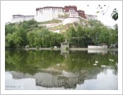 Ƽ(ƼƮ, tibet) (lhasa)