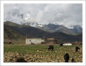 Ƽ(ƼƮ, tibet) (lhasa)