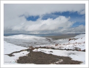 Ƽ(ƼƮ, tibet) (lhasa)